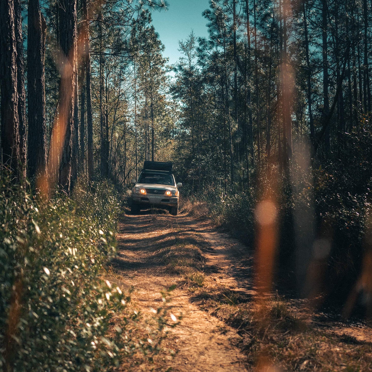 3 Trail Bundle
